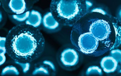 Stem Cell Breakthrough: Woman Reverses Type 1 Diabetes Using Her Own Cells