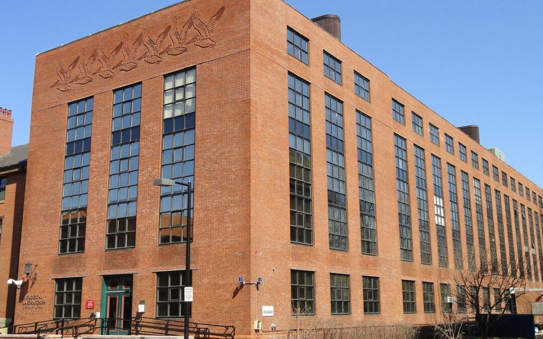 Challenges in Life Sciences Real Estate